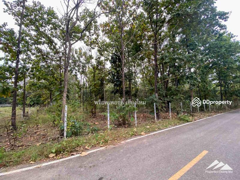 Land For Sale In Mae On, Chiang Mai