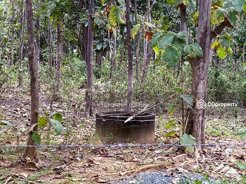 Land For Sale In Mae On, Chiang Mai
