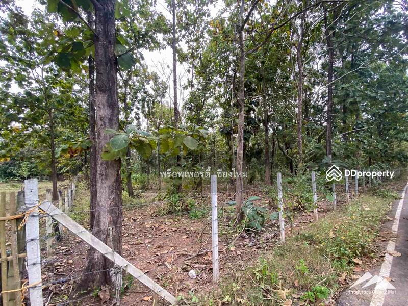 Land For Sale In Mae On, Chiang Mai