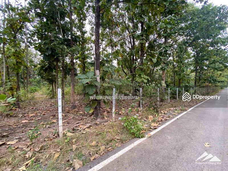 Land For Sale In Mae On, Chiang Mai