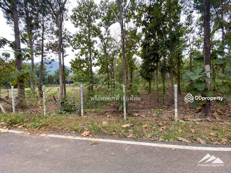 Land For Sale In Mae On, Chiang Mai