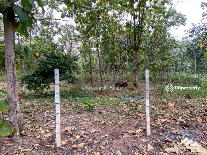 Land For Sale In Mae On, Chiang Mai