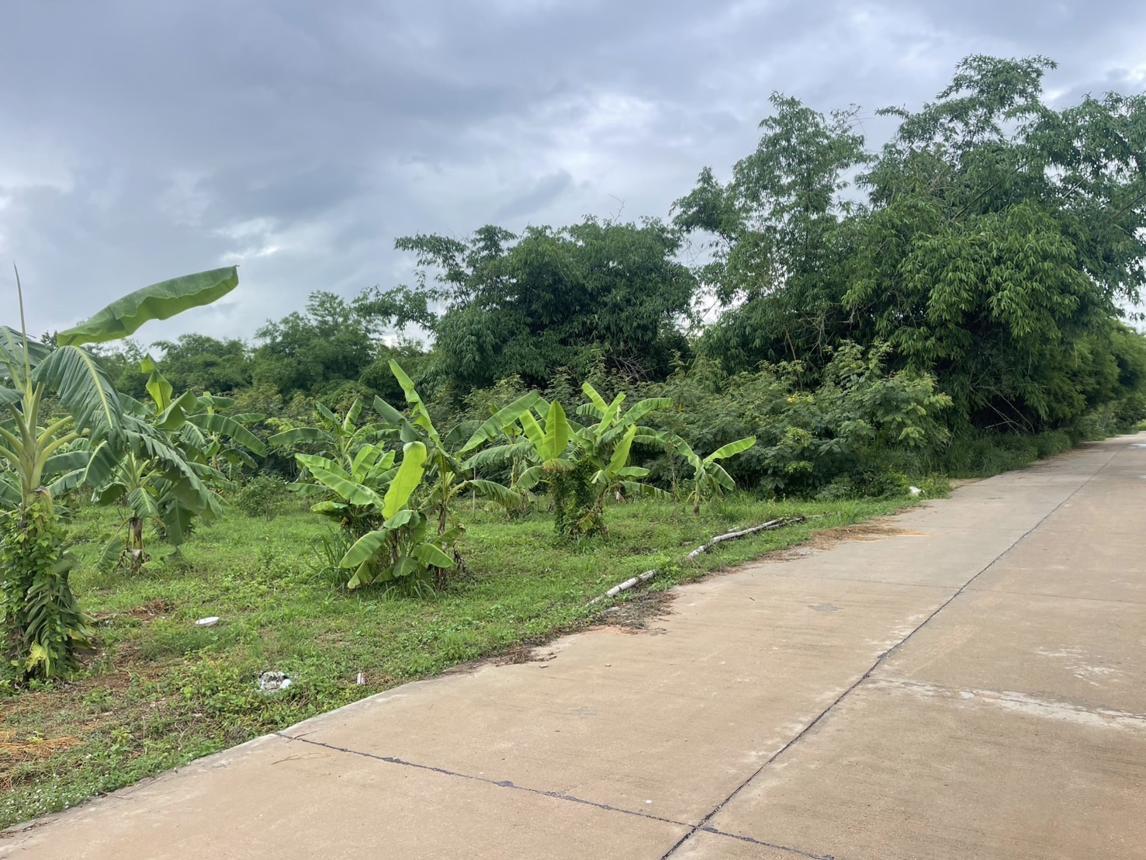 ที่ดินว่างเปล่า บางละมุง ชลบุรี