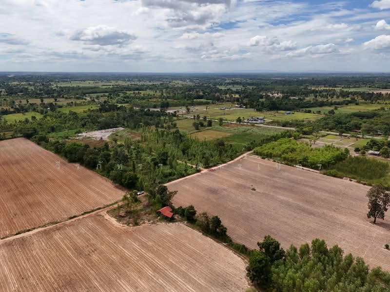 30 Rai Agricultural Land Opportunity Nong Han, Udon Thani, Udon Thani