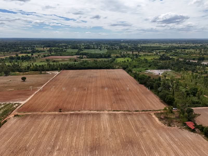 30 Rai Agricultural Land Opportunity Nong Han, Udon Thani, Udon Thani