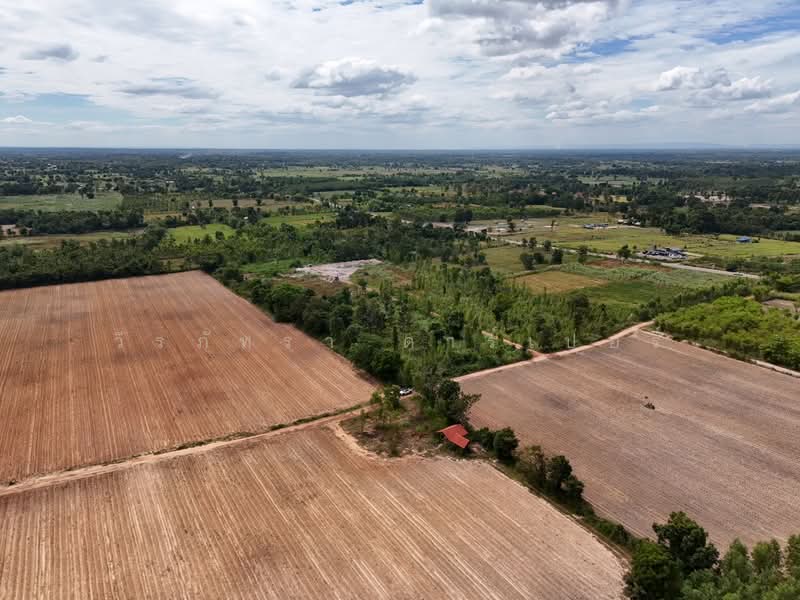 30 Rai Agricultural Land Opportunity Nong Han, Udon Thani, Udon Thani