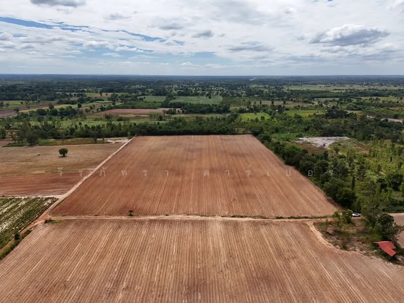 30 Rai Agricultural Land Opportunity Nong Han, Udon Thani, Udon Thani