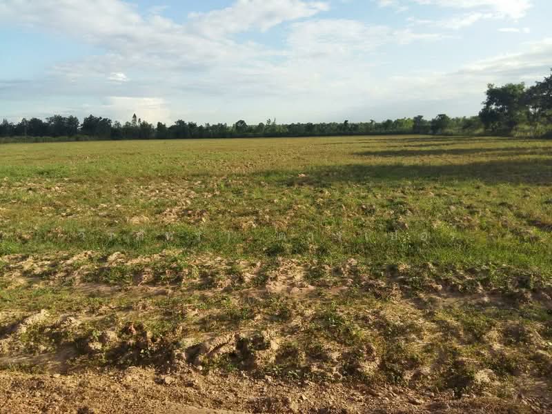 30 Rai Agricultural Land Opportunity Nong Han, Udon Thani, Udon Thani