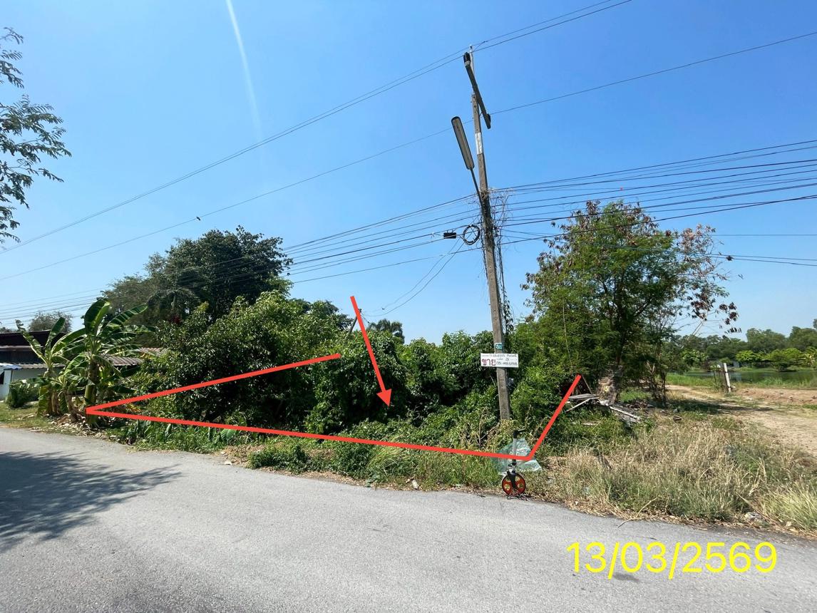 Vacant Land in Nong Suea, Pathum Thani
