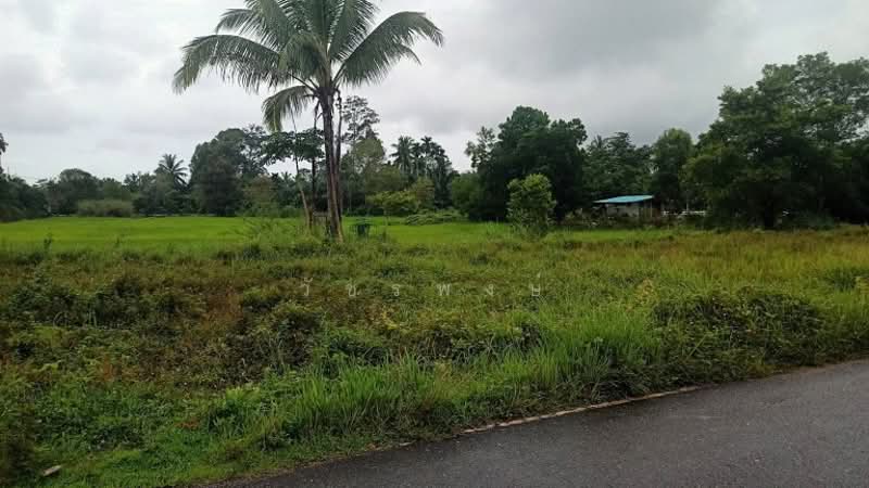 ที่ดินเปล่า อำเภอทุ่งสง จังหวัดนครศรีธรรมราช, Nakhon Si Thammarat