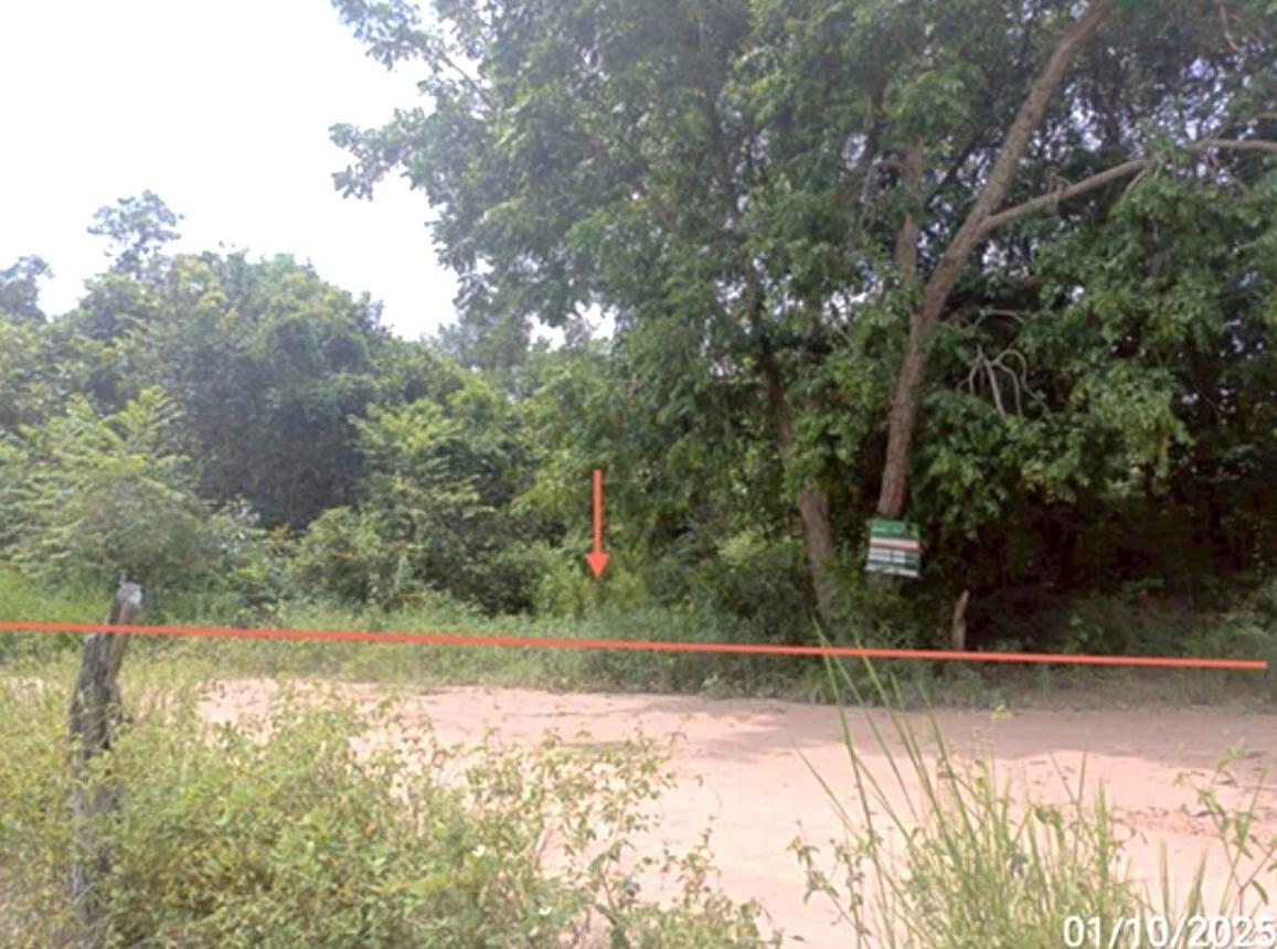Vacant Land in Mahasarakham