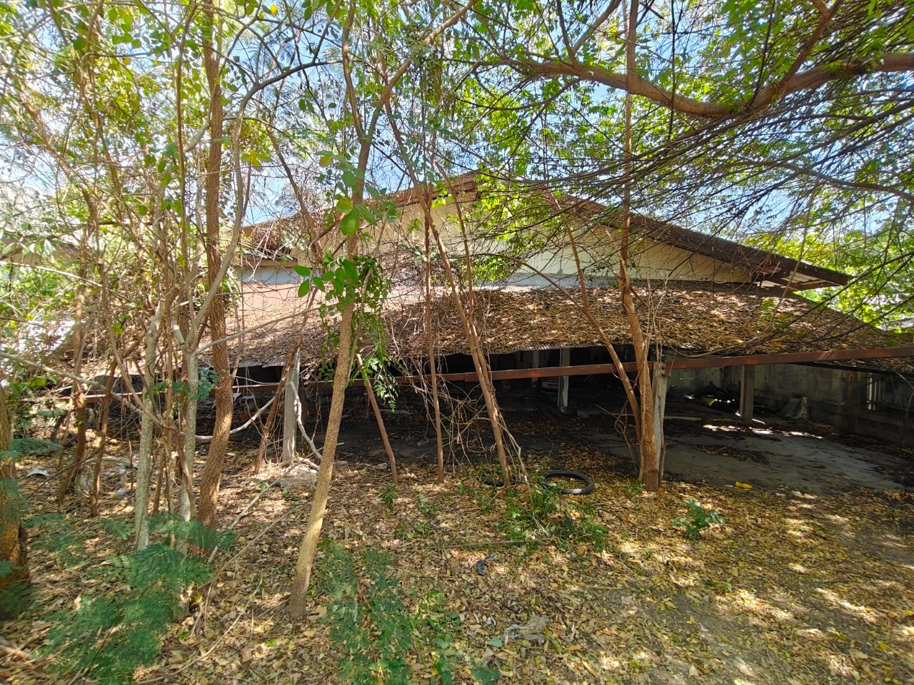 บ้านเดี่ยว เมืองร้อยเอ็ด
