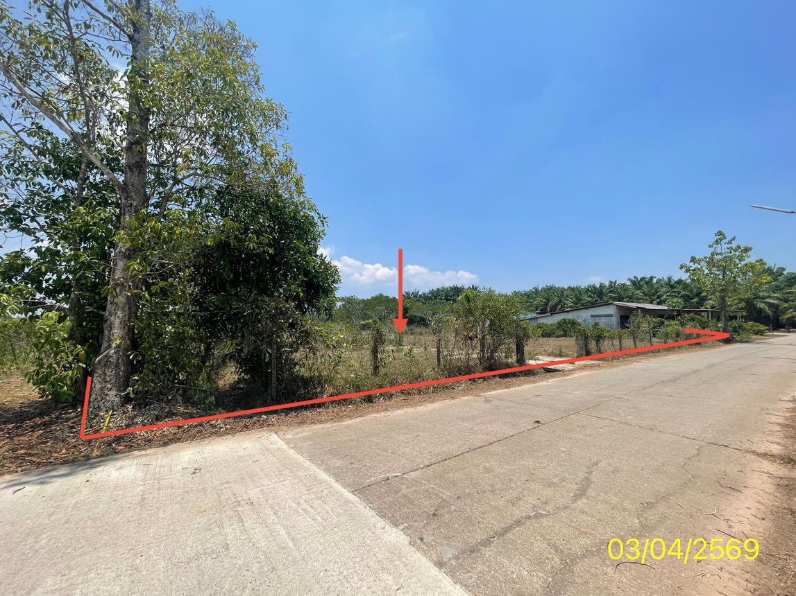 Vacant Land for Sale in Kantang, Trang Province