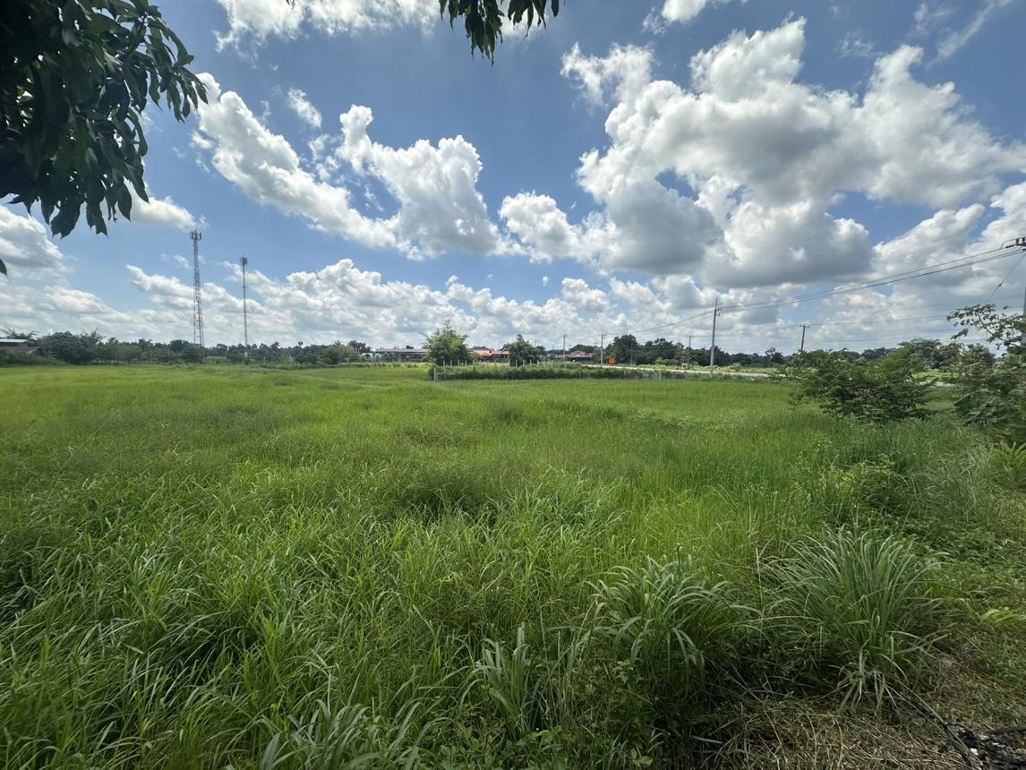 vacant land, Golden Field, Roi Et Province