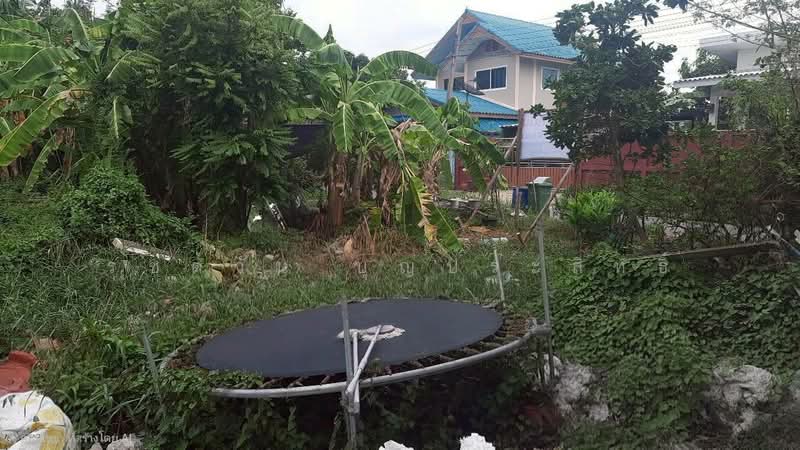 ขายที่ดินเปล่า 53 ตร.ว. โครงการบ้านปีกไม้ ตำบลบ้านใหม่ อำเภอบางใหญ่ จังหวัดนนทบุรี, Nonthaburi