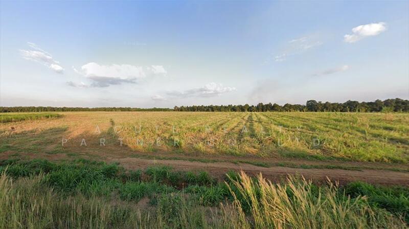 Large Land plot for Sale, Nong Bun Mak, Nakhon Ratchasima, Nakhon Ratchasima