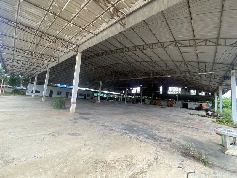 โรงงาน ลำพูน