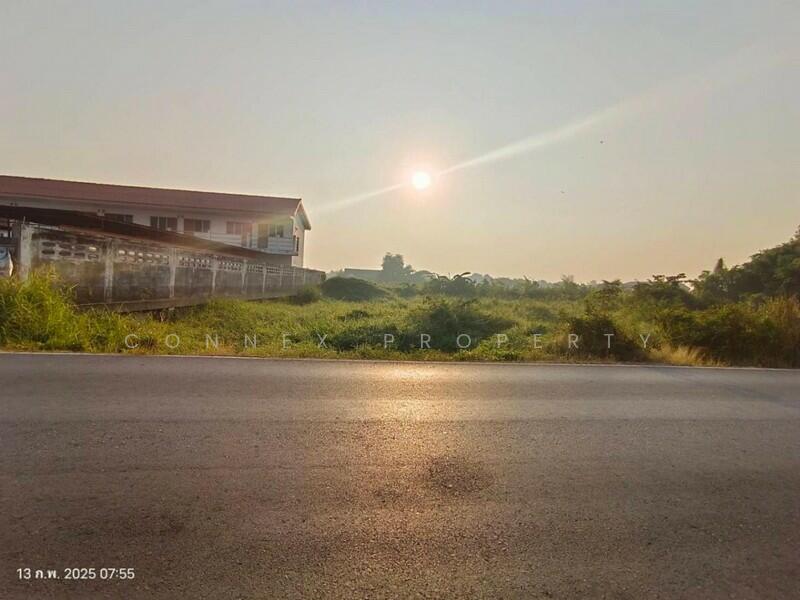 Empty land, Lat Lum Kaeo ที่ดินเปล่า ลาดหลุมแก้ว, Pathum Thani