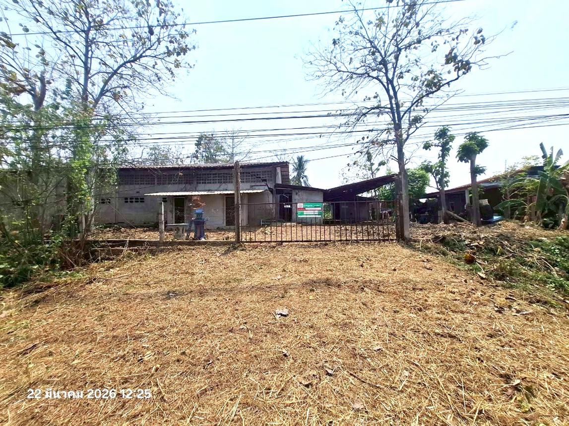 Soi Sri Samrong Sukhothai Farm