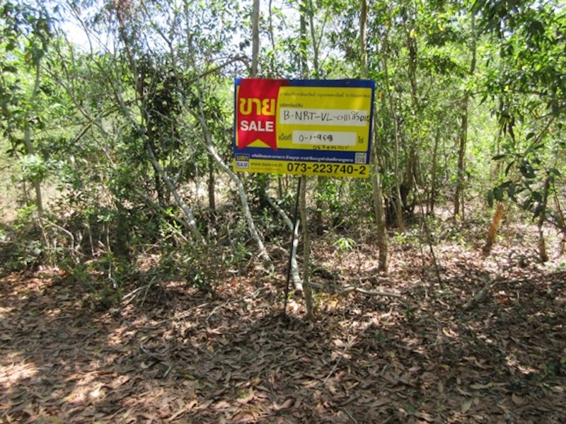 1-Plots of Vacant Land