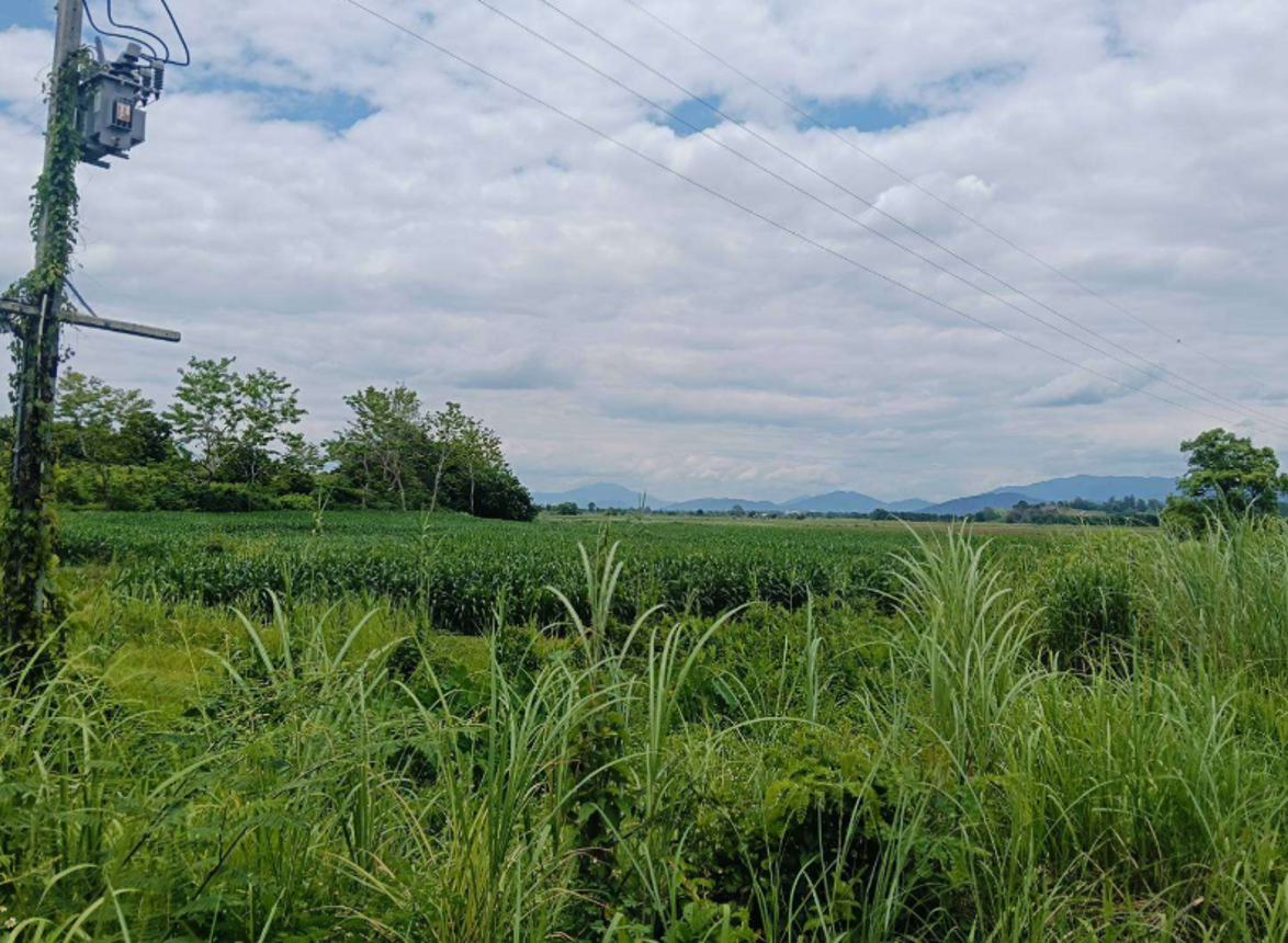 ที่ดินว่างเปล่า เมืองเชียงแสน จังหวัดเชียงราย