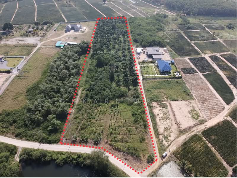 10-Rai Hillside Land in Wang Pong – Ideal for Housing Project, Prachuap Khiri Khan