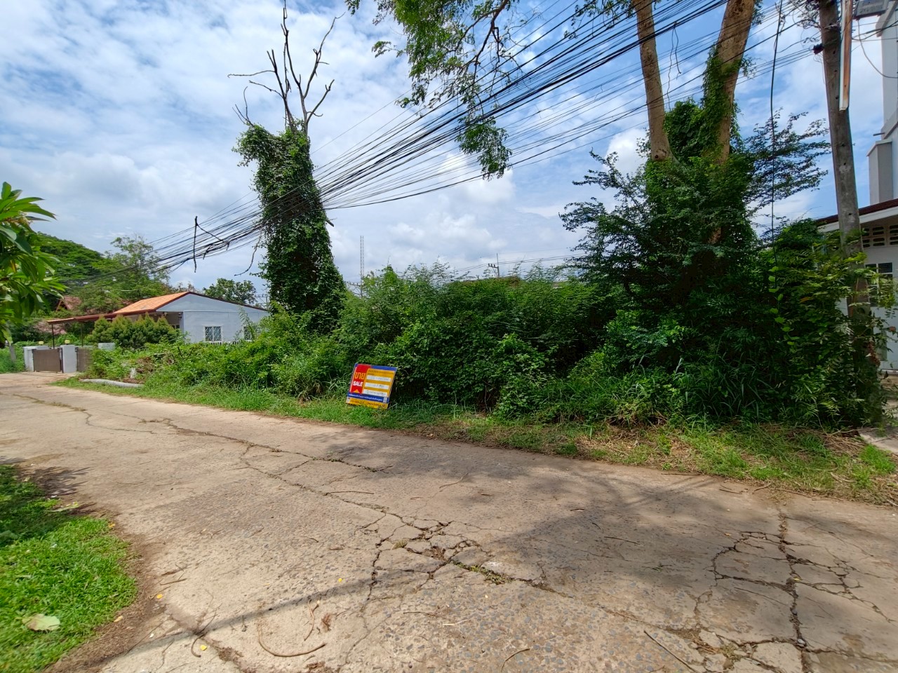 ที่ดินเปล่า เกิ้ง เมืองมหาสารคาม