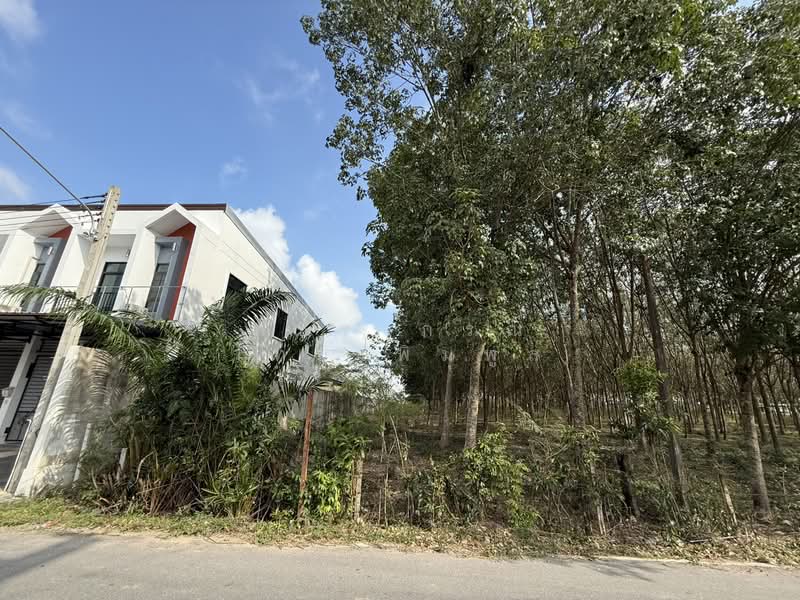 Land 18.5 Rai for sale near Lopburi Ramaed Rd., Had Yai safe from flooding, Songkhla