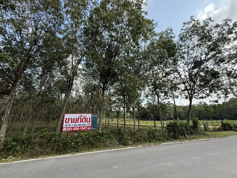 Land 18.5 Rai for sale near Lopburi Ramaed Rd., Had Yai safe from flooding, Songkhla