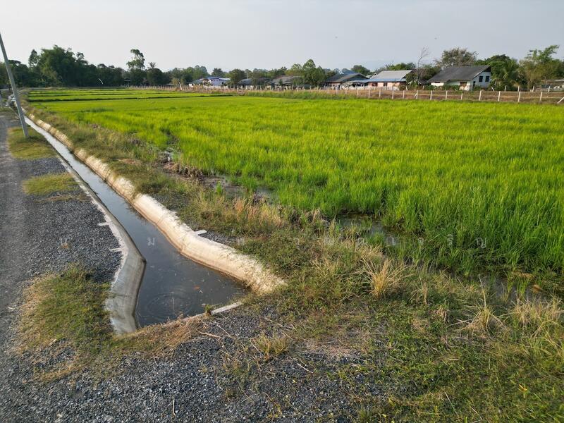 ขายที่ดิน ทางขึ้นเขาใหญ่ วิวภูเขา คูน้ำไหลผ่าน ในแหล่งชุมชน, Nakhon Nayok