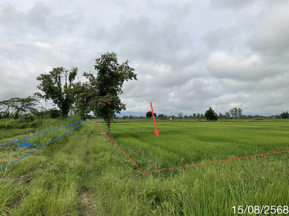 Vacant Land for Sale in Mae Chan, Chiang Rai