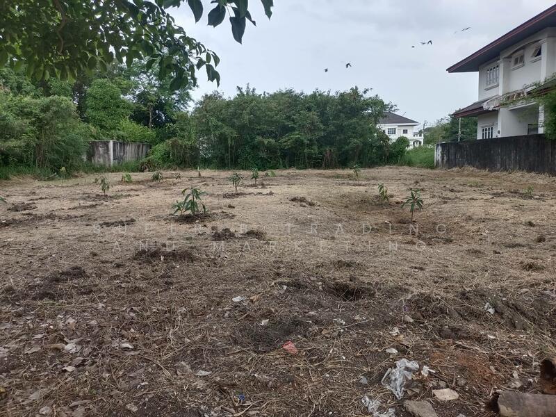 Land for sale, 195 sq.w., Rueang Anan Village, Soi Petchkasem 64, Bang Khae, Bangkok