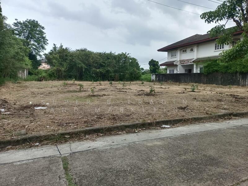 Land for sale, 195 sq.w., Rueang Anan Village, Soi Petchkasem 64, Bang Khae, Bangkok