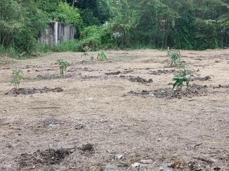 Land for sale, 195 sq.w., Rueang Anan Village, Soi Petchkasem 64, Bang Khae, Bangkok