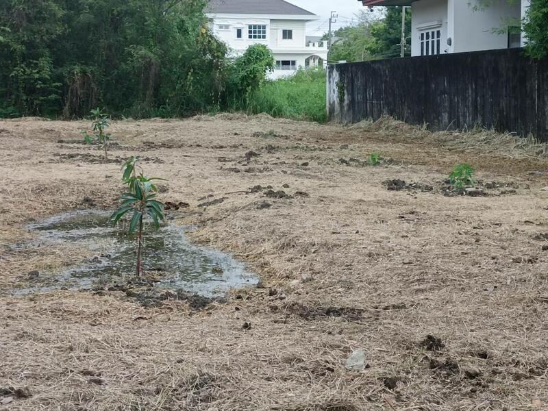 Land for sale, 195 sq.w., Rueang Anan Village, Soi Petchkasem 64, Bang Khae, Bangkok