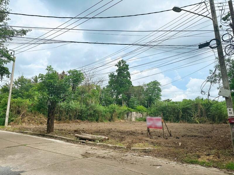 Land for sale, 195 sq.w., Rueang Anan Village, Soi Petchkasem 64, Bang Khae, Bangkok