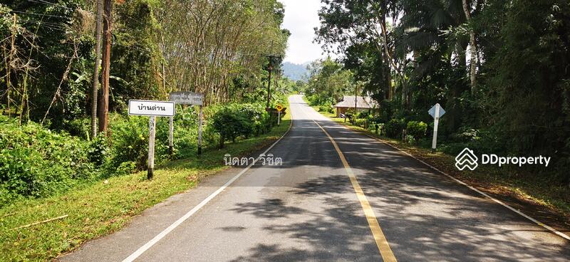 Trang, Trang