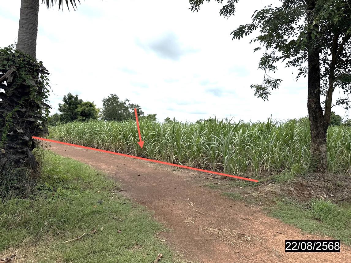 Empty land for sale in Nong Ruea, Khon Kaen