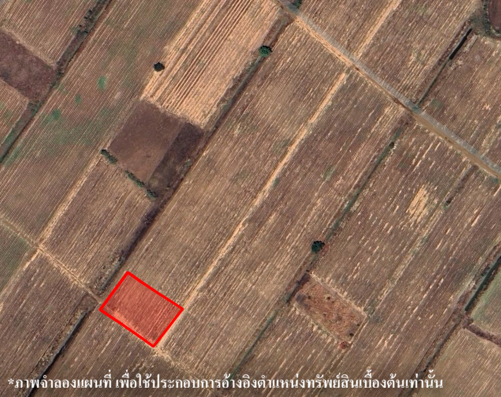 ที่ดินเปล่า โครงการสวนเกษตรเพชรบูรณ์การ์เด้นส์ บึงสามพัน