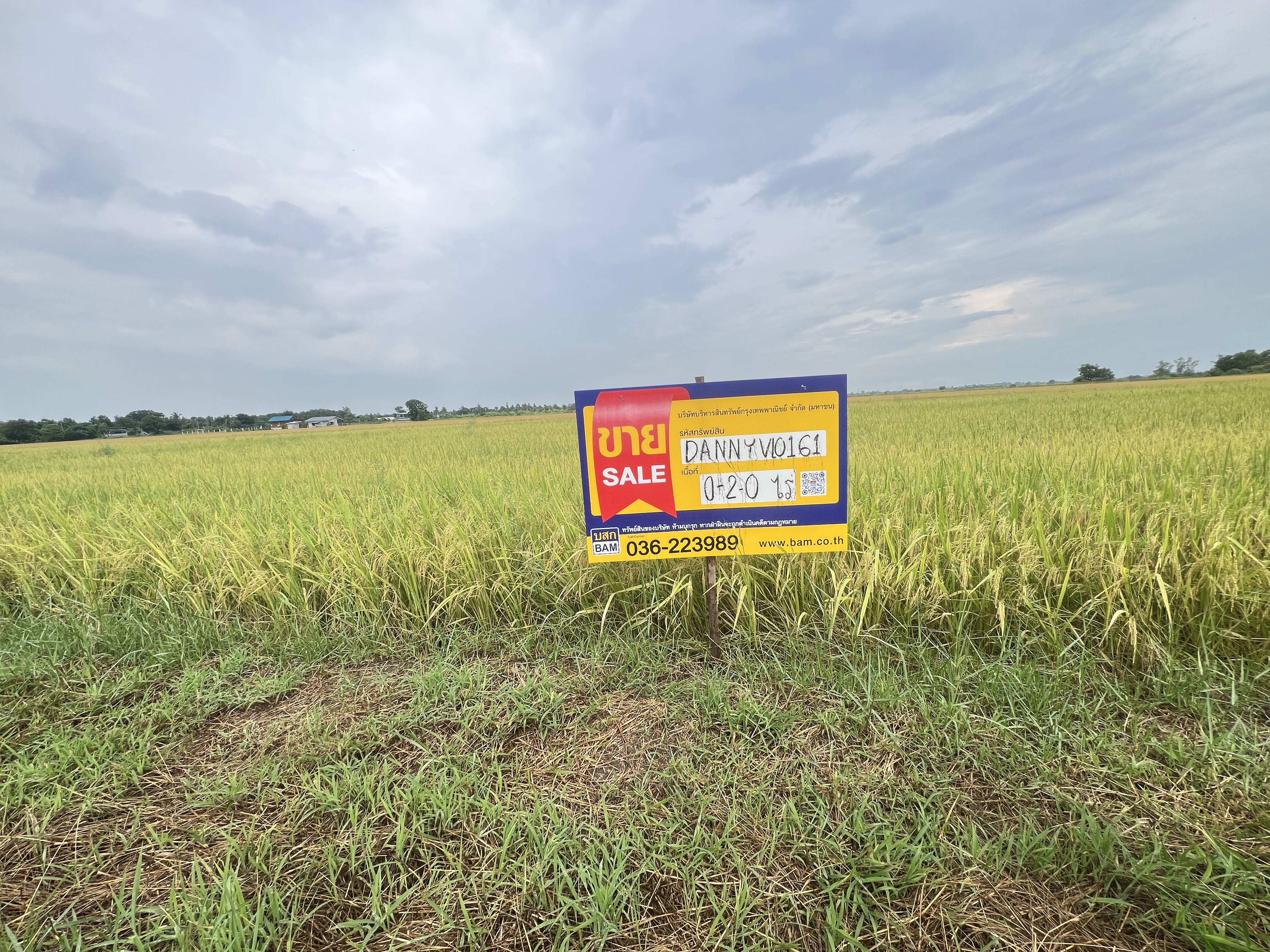 Empty Land, Nakhon Nayok
