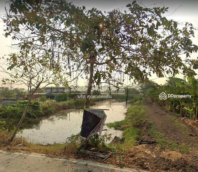 ขายด่วนที่ดิน 374 ตร.วา บ้านระกาศ บางบ่อ สมุทรปราการ, Samut Prakan