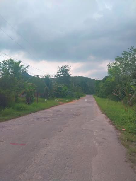 ที่ดินว่างเปล่านราธิวาส, Narathiwat