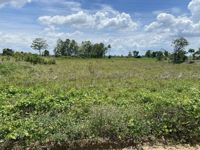 เมืองพิษณุโลก, Phitsanulok