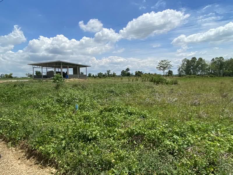 เมืองพิษณุโลก, Phitsanulok