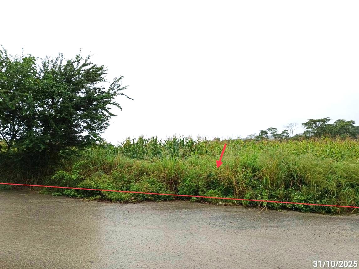 Vacant Land, Phuripiman, Pak Chong, Nakhon Ratchasima