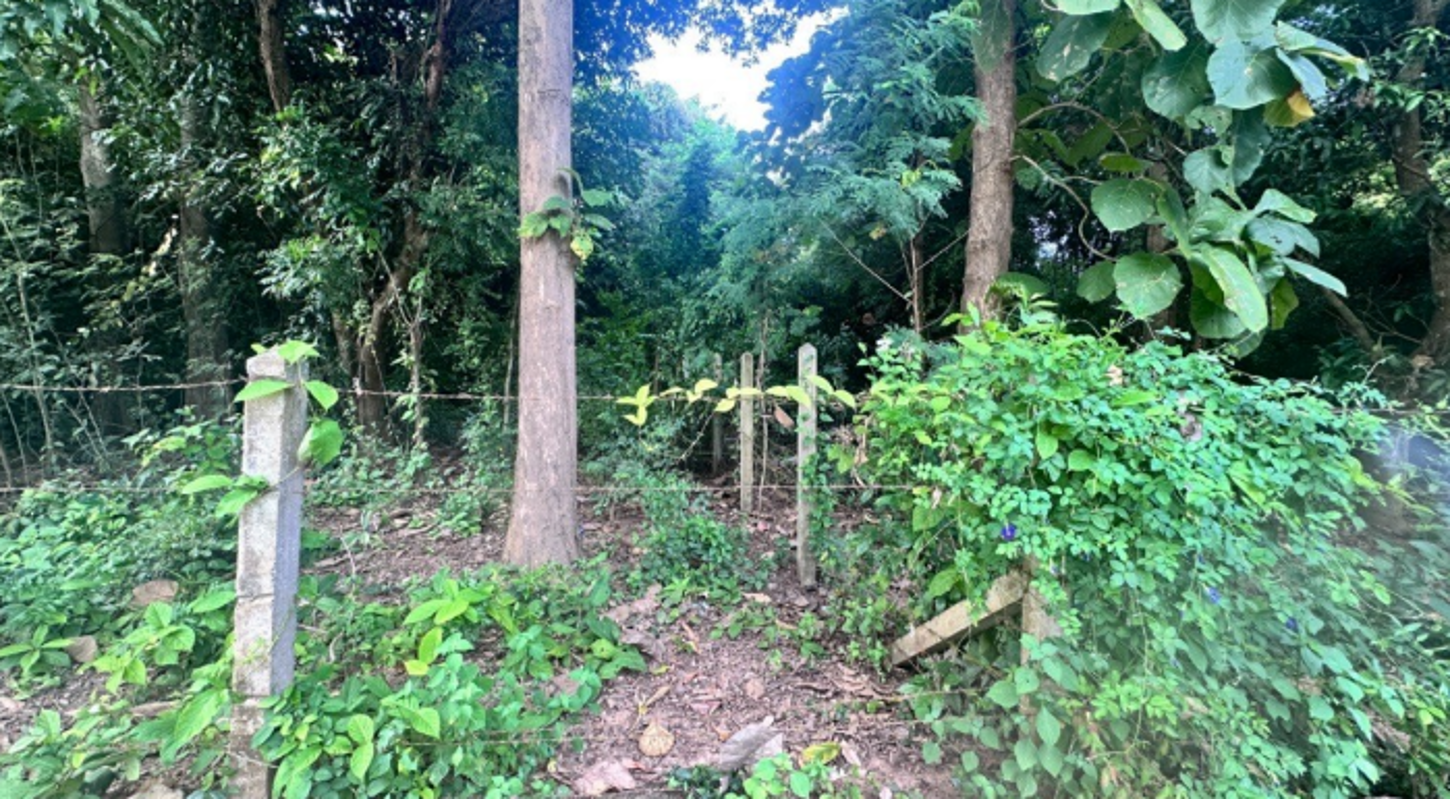 Empty Land for Sale in Lopburi Province, Lopburi