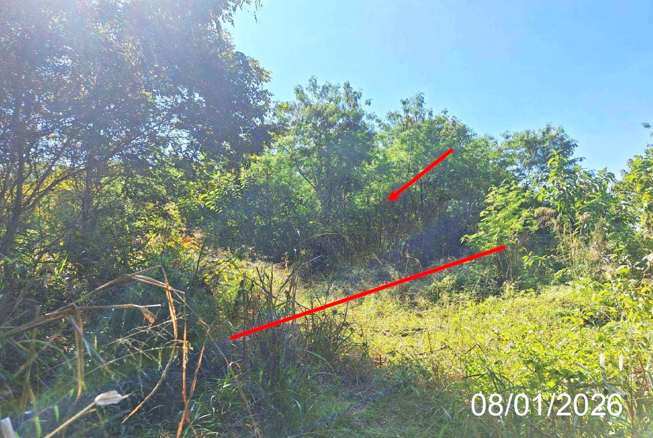 Vacant Land in Lamphun, Lamphun Province
