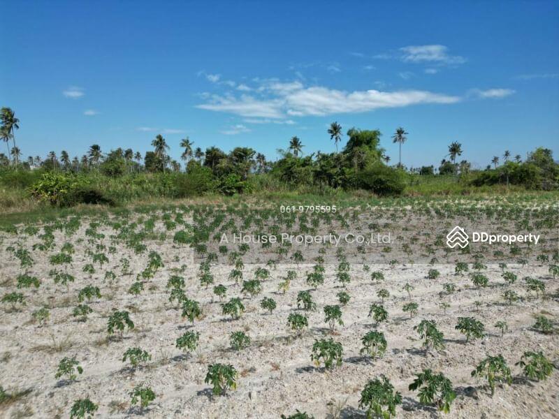 Land for sale on the edge of the Huai near Pin Thong 2 Bueng Sriracha, Chon Buri (Pattaya)