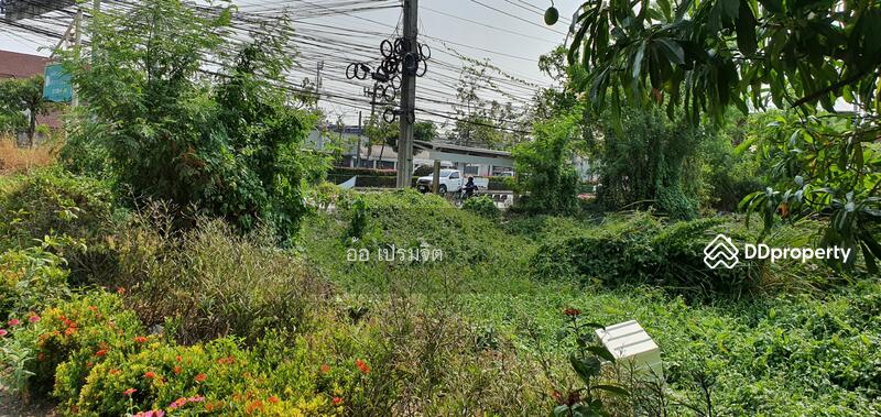 อ่อนนุช, Bangkok