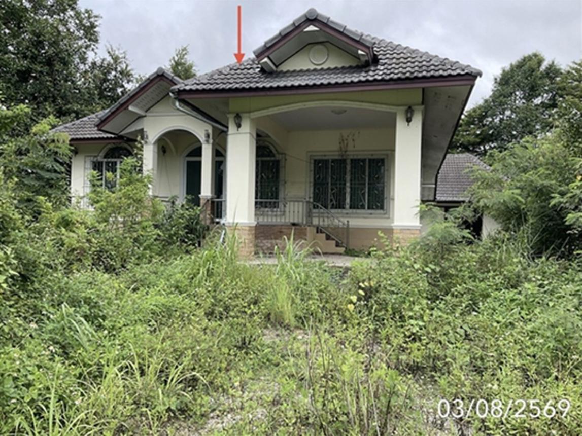 Single House in Phayamengrai, Chiangrai